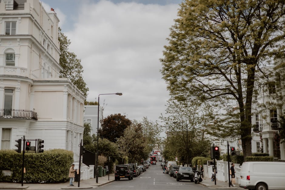 A residential street scene in Holland Park showing a row of multi-storey brick houses with white window frames and decorative details. In the foreground, a flowering tree with white blossoms partially